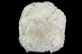 Fluorescent Calcite Geode Section - Morocco #89595-2